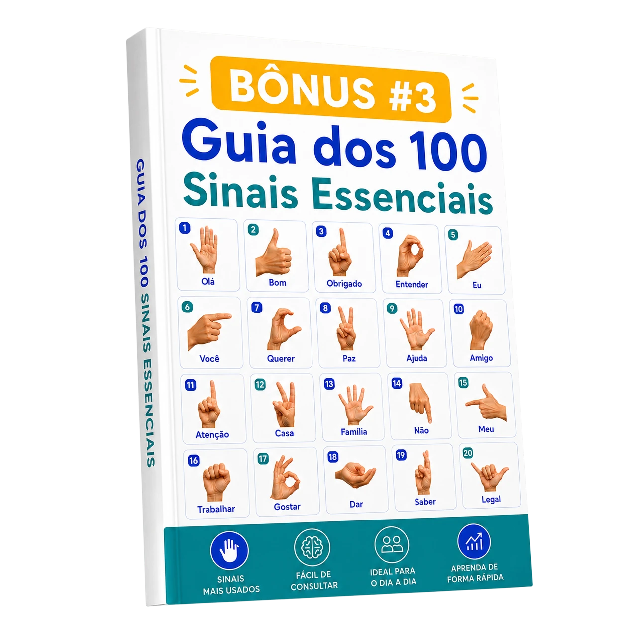 Bônus 3: Guia dos 100 Sinais Essenciais